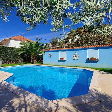 Family Friendly With A Swimming Pool - 16336 Apartment Zadar